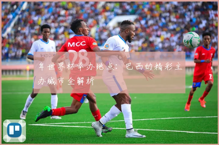 年世界杯举办地点:巴西的精彩主办城市全解析